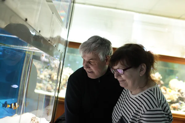 Pareja feliz en el oceanario — Foto de Stock