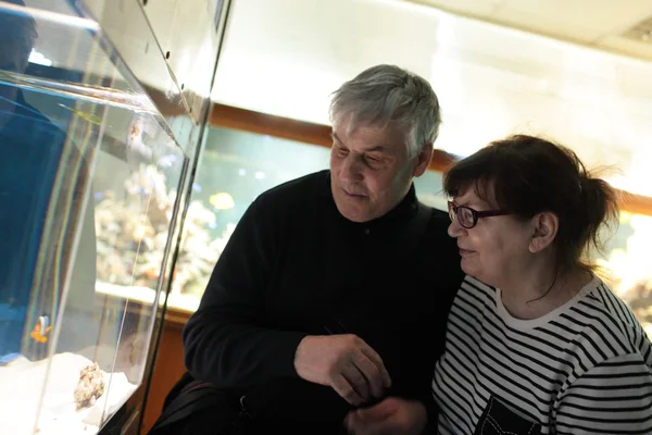 Seniorenpaar beobachtet Fische im Aquarium — Stockfoto