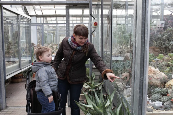 Maman parle de cactus à son fils — Photo