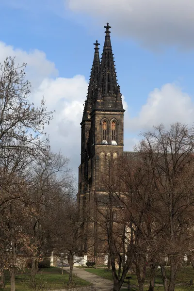 Kant van de kerk in vysehrad — Stockfoto