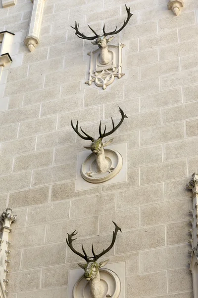 Three heads of deer on the wall building — Stock Photo, Image