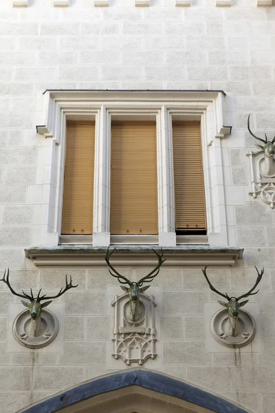 Fenêtre et têtes de cerf — Photo