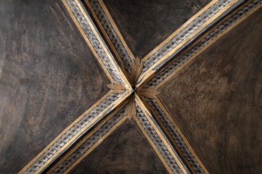 kahverengi tavan Sarayı