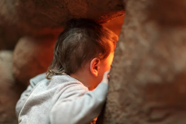 Ребенок смотрит на террариум — стоковое фото
