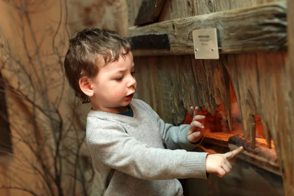 Niño en el zoológico — Foto de Stock