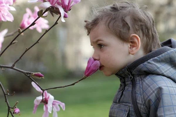 Miúdo a cheirar uma flor — Fotografia de Stock