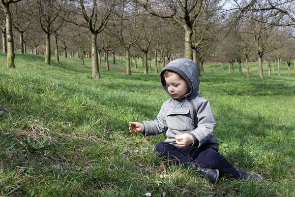 Niño en una hierba — Foto de Stock