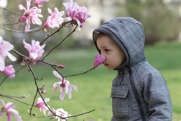 Junge, der eine Blume riecht — Stockfoto