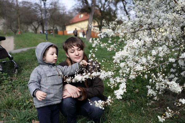 Familia en el parque de primavera —  Fotos de Stock