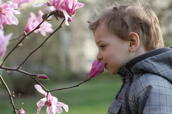 A virág illatú boldog fiú — Stock Fotó