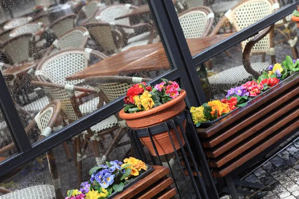 Flores junto a la cafetería —  Fotos de Stock