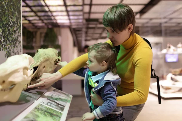 Family touching a skulls of animals — Stock Photo, Image