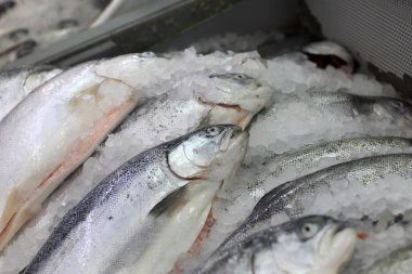 Buz parçalarını somon