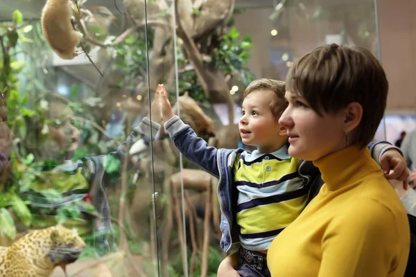 Familie kijken naar wilde dieren — Stockfoto