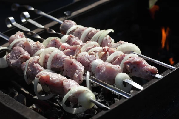 М'ясо з кільцями цибулі на шампурах — стокове фото