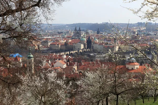 El horizonte de Praga en primavera — Foto de Stock