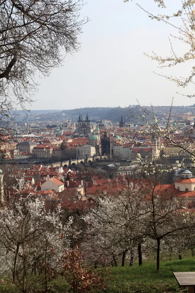 Vista Praga na primavera — Fotografia de Stock