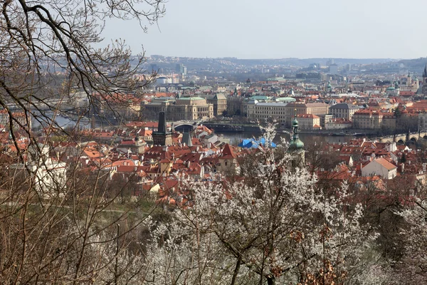 Widok na Pragę wiosną — Zdjęcie stockowe