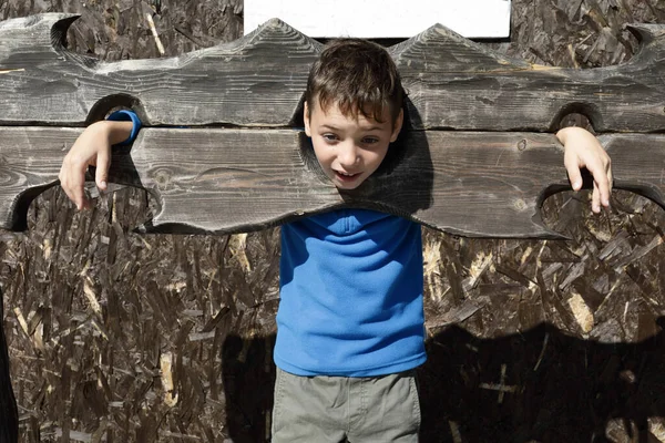 Retrato Niño Madera Picota Aire Libre — Foto de Stock