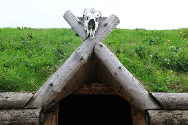 Blick Auf Gras Dach Skandinavisches Haus Karelien — Stockfoto