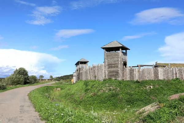Viking Kale Kuleleri Olan Ahşap Çayırların Manzarası Karelia — Stok fotoğraf