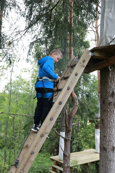 Criança Sobe Escadas Para Curso Obstáculo Parque Corda — Fotografia de Stock