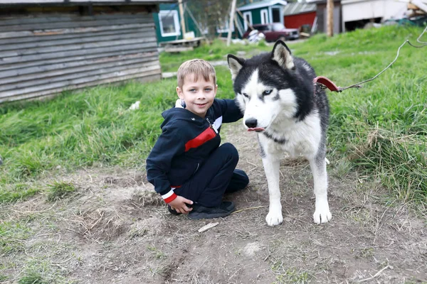Chłopiec Husky Dog Lecie Karelia — Zdjęcie stockowe