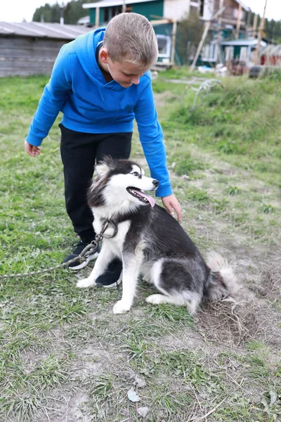 Niño Con Perro Husky Verano Karelia — Foto de Stock