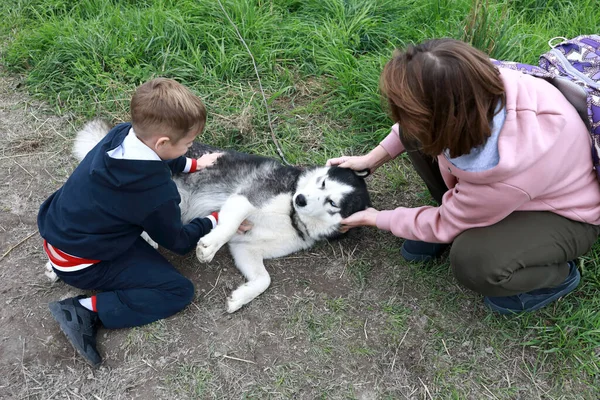 Mother Son Caress Husky Dog Summer Karelia — Stock Photo, Image