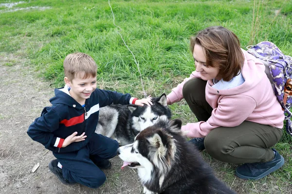 Mother Son Caress Husky Dog Karelia — Stock Photo, Image