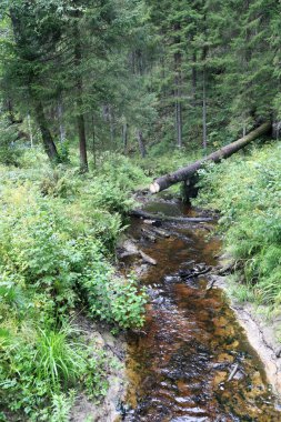 Şelale parkı manzarası, Karelia.