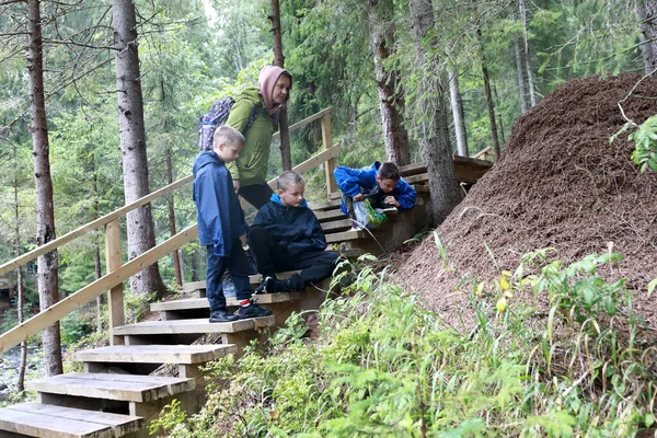 Madre Figli Ispezionare Formicaio Nella Foresta Carelia Russia — Foto Stock