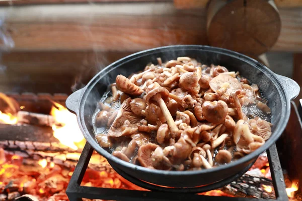 Cozinhar Cogumelos Mel Caldeirão Chamas Gazebo Carélia — Fotografia de Stock