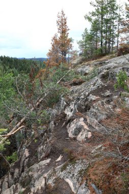 Yazın Hiidenvuori Dağı yamacında, Karelia