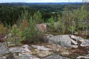 Yazın Hiidenvuori Dağı 'ndan manzara, Karelia