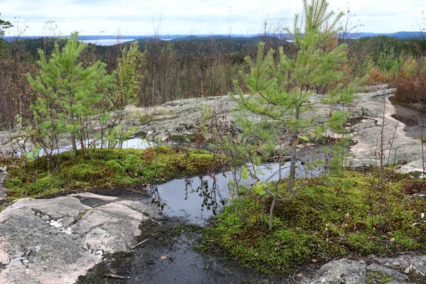 Puddles Sur Mont Hiidenvuori Été Carélie Russie — Photo