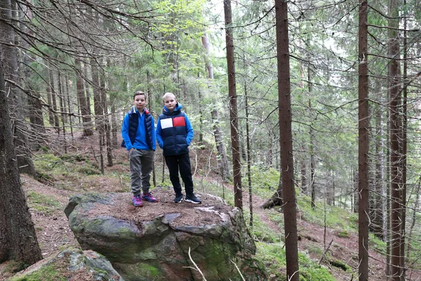 Twee Kinderen Aan Voet Van Berg Hiidenvuori Karelia — Stockfoto