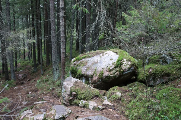 KareliaのHiidenvuori山の麓にある苔で覆われた石 — ストック写真