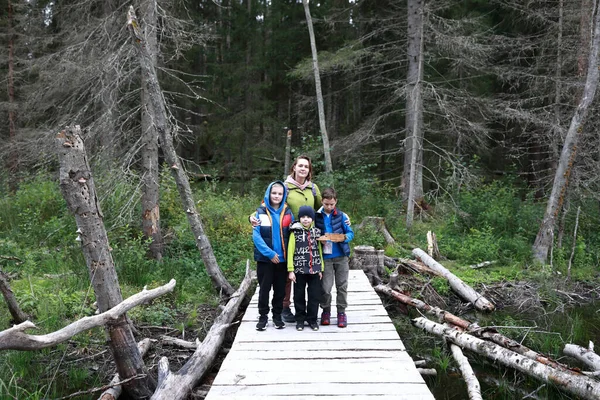 Madre Con Figli Ponte Legno Nella Foresta Carelia — Foto Stock