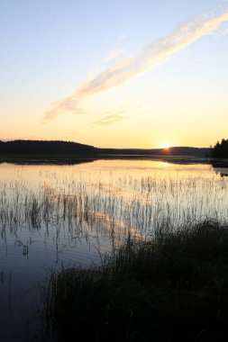 Yazın gün batımında sakin göl manzarası, Karelia.