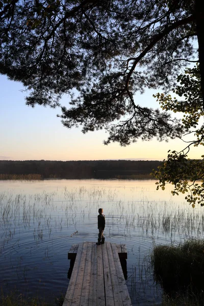 Хлопчик Стоїть Дерев Яному Мосту Біля Озера — стокове фото