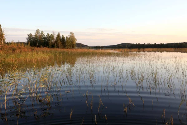 Vista Del Lago Atardecer Verano Karelia — Foto de Stock