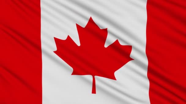 Kanada Flagge, mit realer Struktur eines Gewebes — Stockvideo