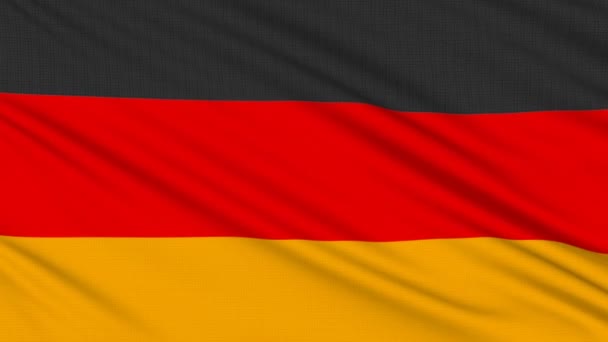 Német zászló, igazi szerkezete egy szövet — Stock videók
