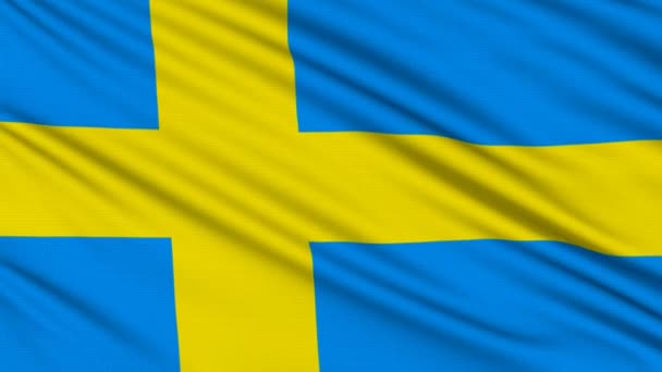 Zweedse vlag, met echte structuur van een stof — Stockvideo