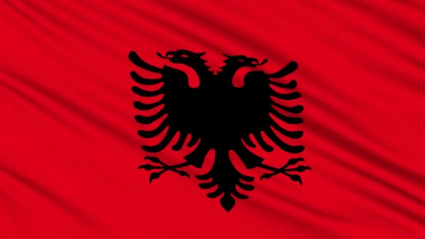 阿尔巴尼亚旗，与真正的组织结构的织物 — 图库视频影像