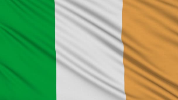 Bandeira irlandesa, com estrutura real de um tecido — Vídeo de Stock