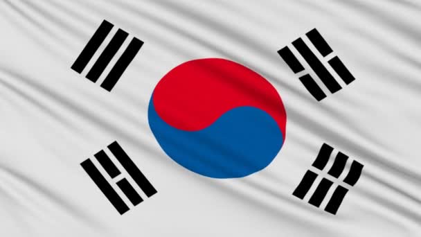 Bandera de Corea del Sur, con estructura real de un tejido — Vídeos de Stock