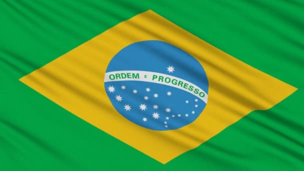 Brasilianische Flagge, mit realer Struktur eines Stoffes — Stockvideo