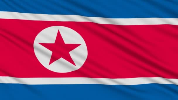 Bandera de Corea del Norte, con estructura real de un tejido — Vídeos de Stock